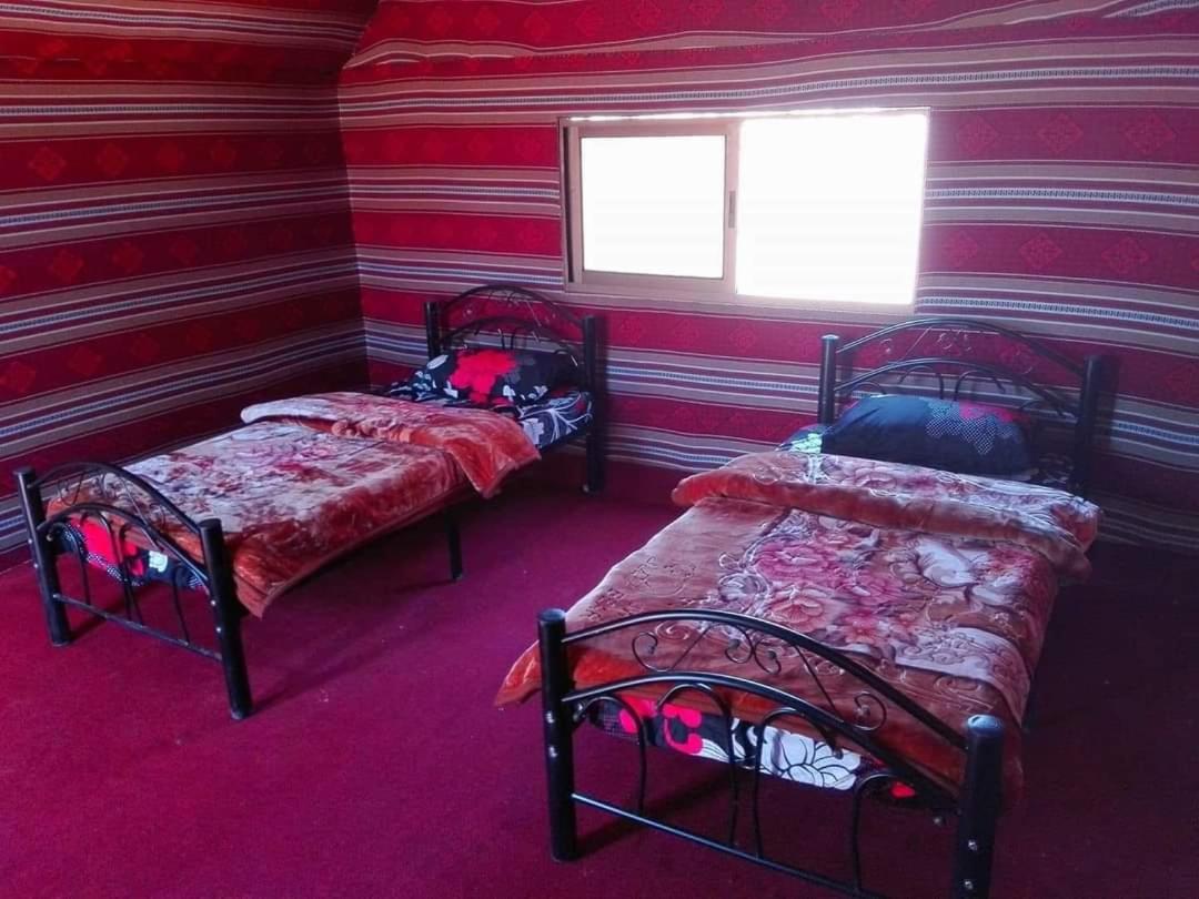 Wadi Rum Local Guide Camp Phòng bức ảnh